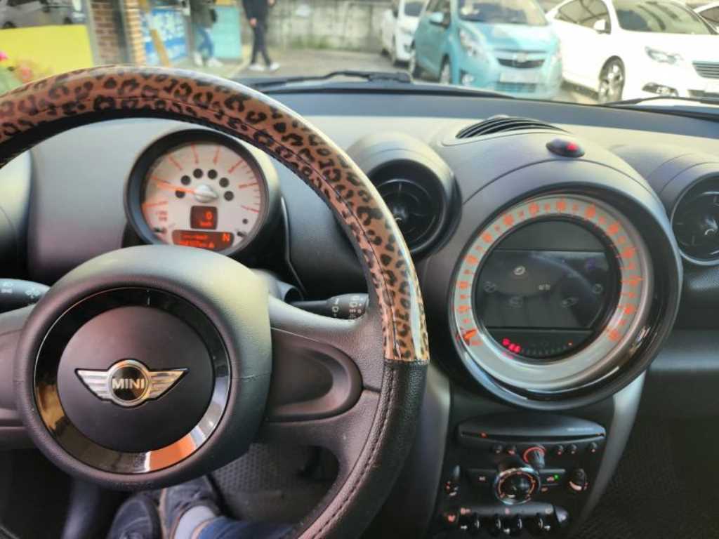 Mini Countryman - Vista 10