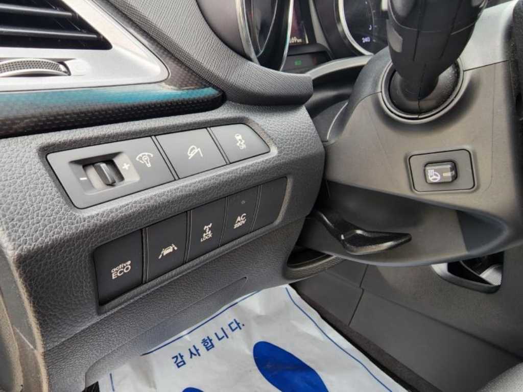 HYUNDAI Maxcruz - Vista 8