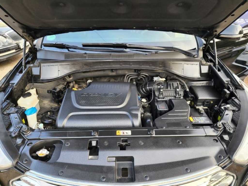 HYUNDAI Maxcruz - Vista 7