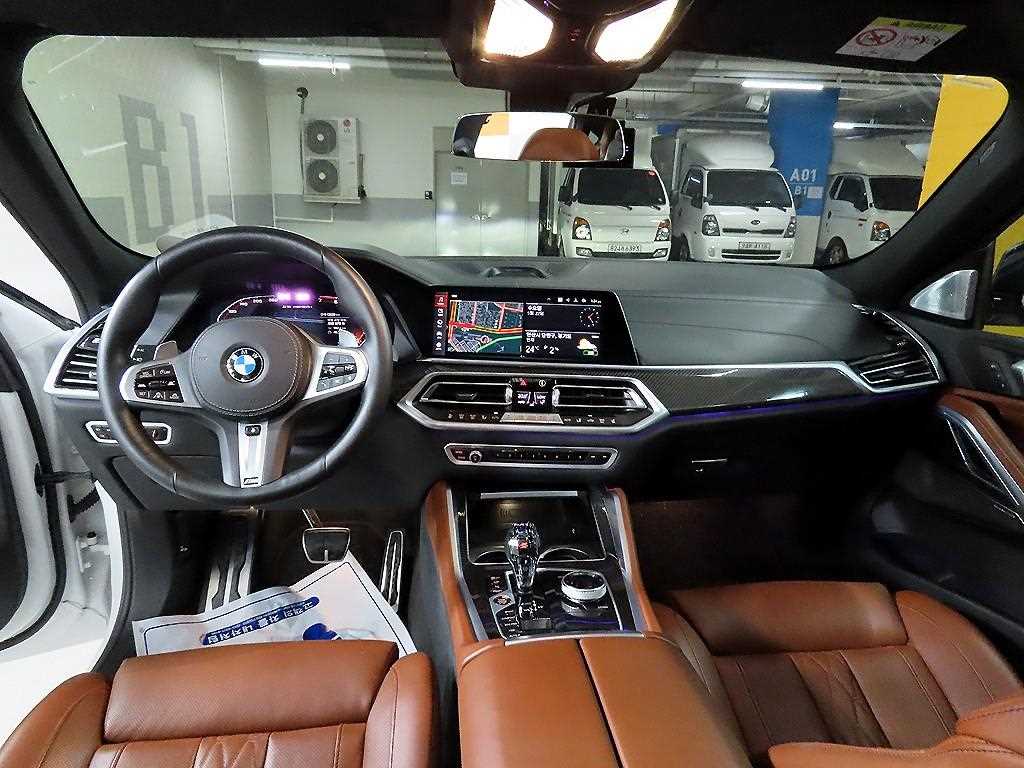 BMW X6 - Vista 8