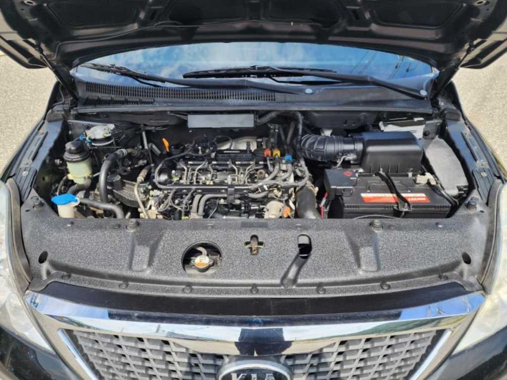 KIA Carnival - Vista 12