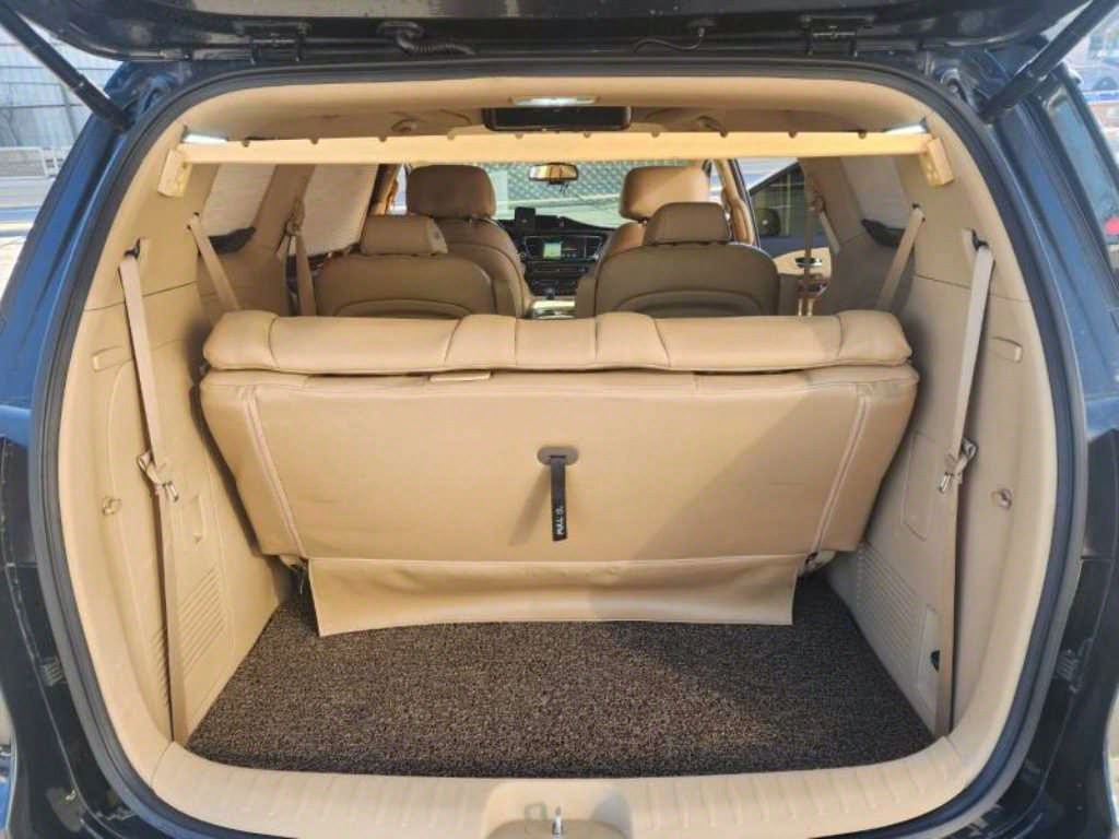 KIA Carnival - Vista 12