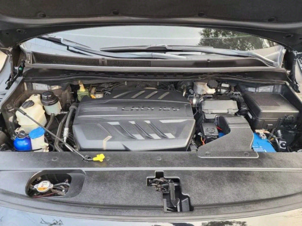 KIA Carnival - Vista 7