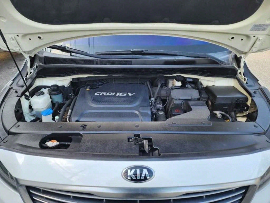 KIA Carnival - Vista 7