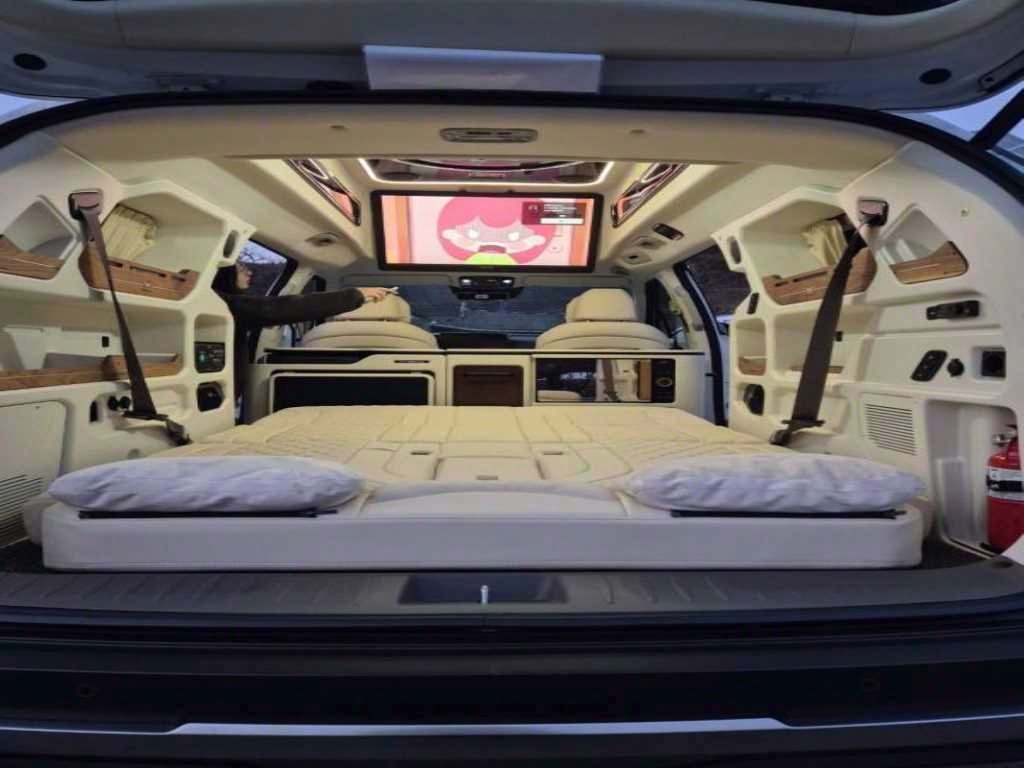 KIA Carnival - Vista 12