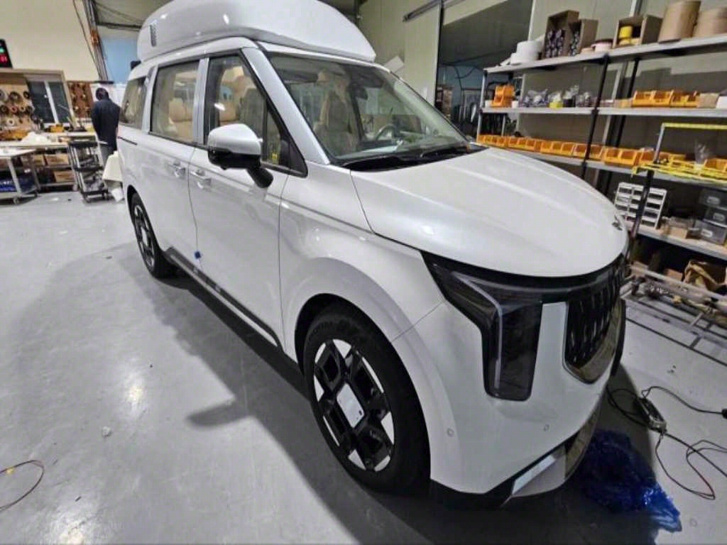 KIA Carnival - Vista 5