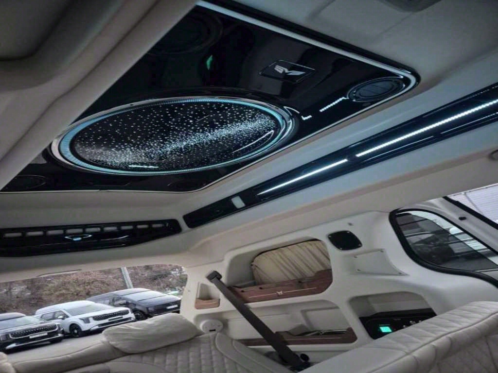 KIA Carnival - Vista 11