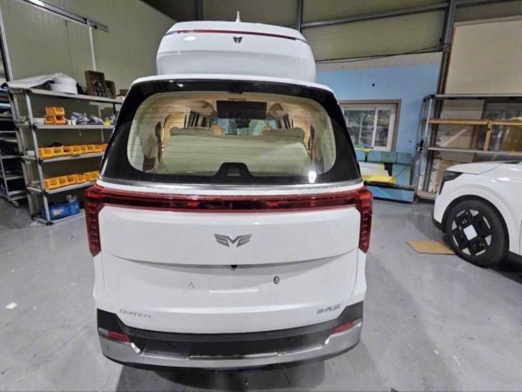 KIA Carnival - Vista 6