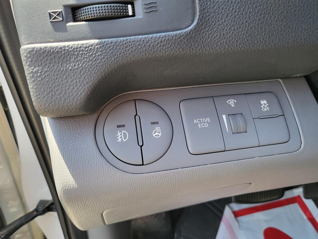 HYUNDAI Starex - Vista 10