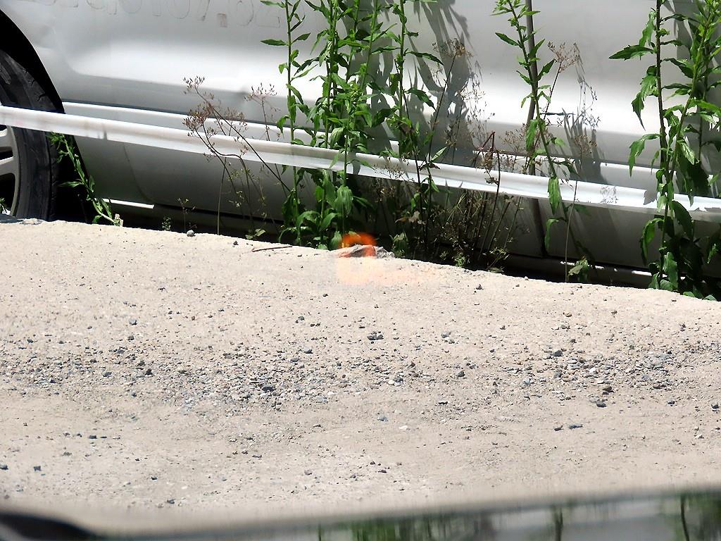 HYUNDAI Genesis - Vista 10