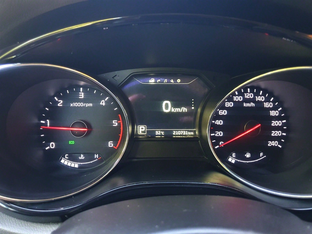 KIA Carnival - Vista 7