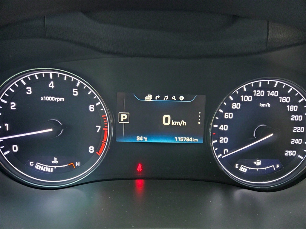 HYUNDAI Genesis - Vista 10