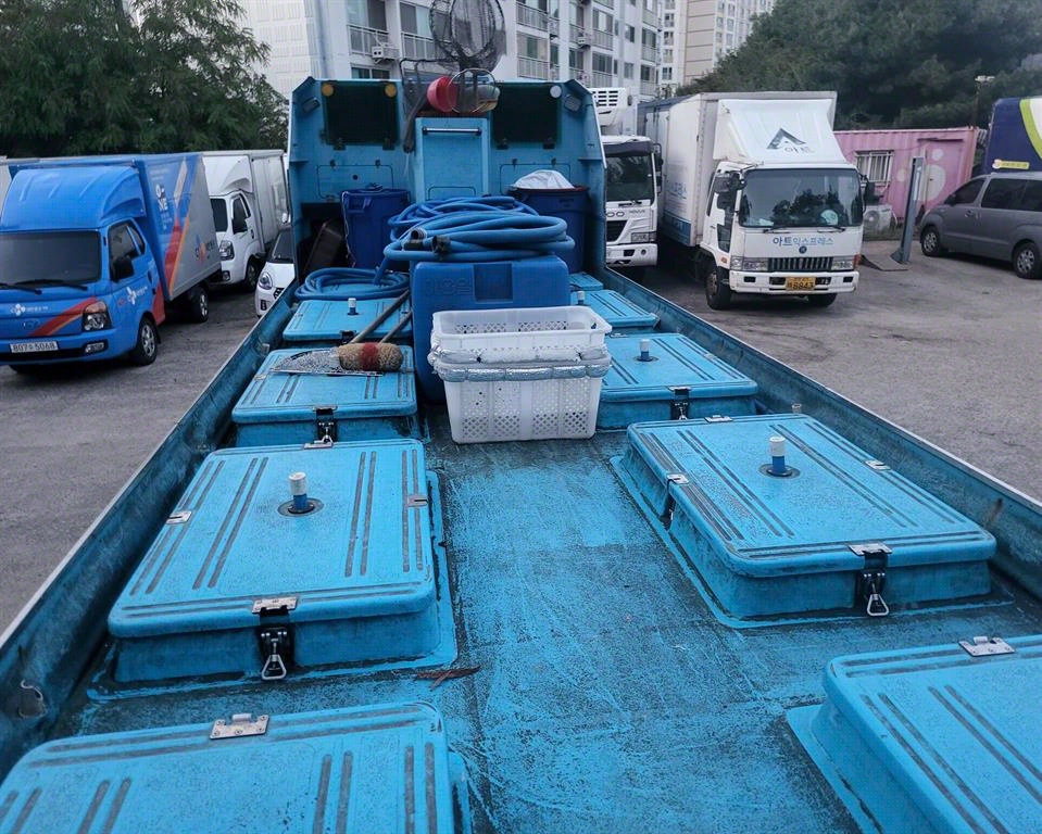 medium and large cargo Live Fish Car 2012 Blanco - Importación desde Corea - HF Imports Iquique - Foto 15