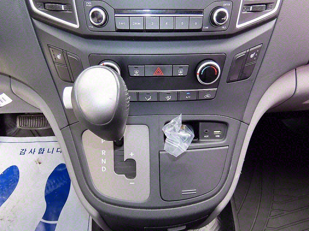 HYUNDAI Starex - Vista 10