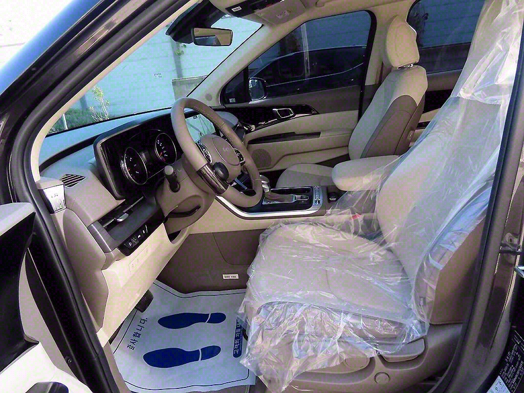 KIA Carnival - Vista 5