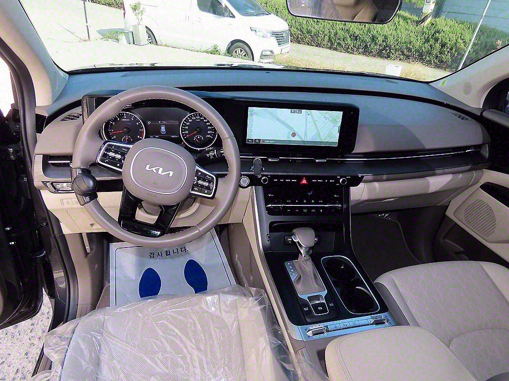KIA Carnival - Vista 8