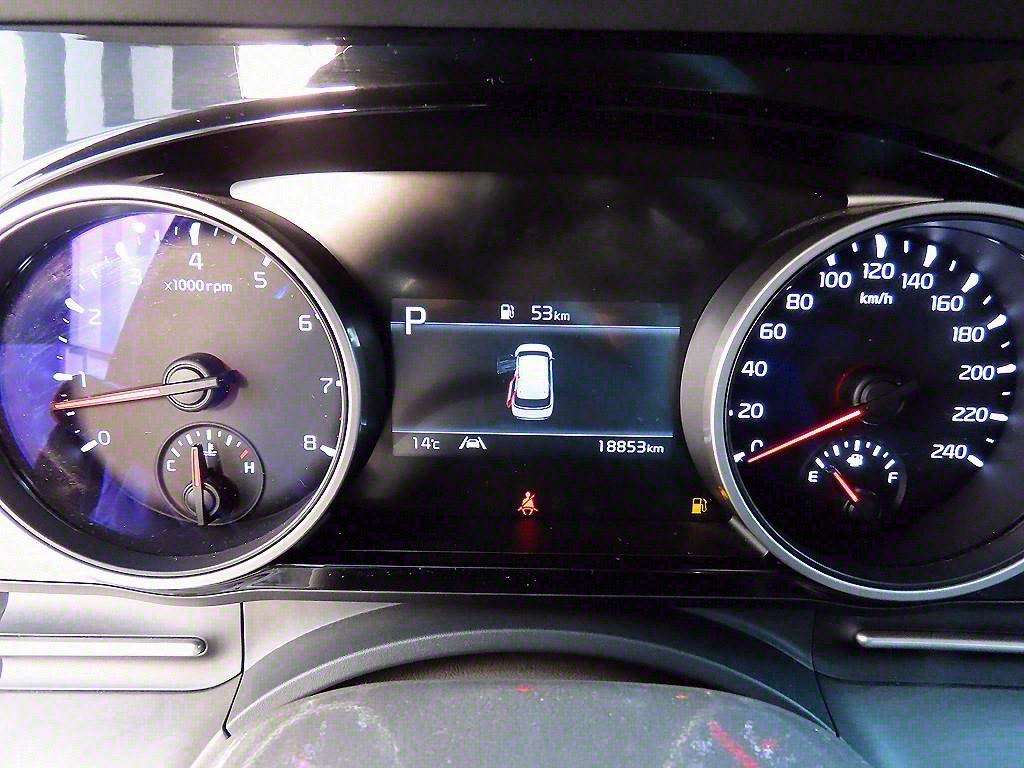 KIA Carnival - Vista 10