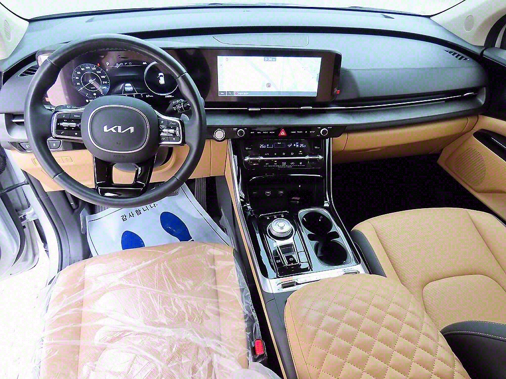 KIA Carnival - Vista 8