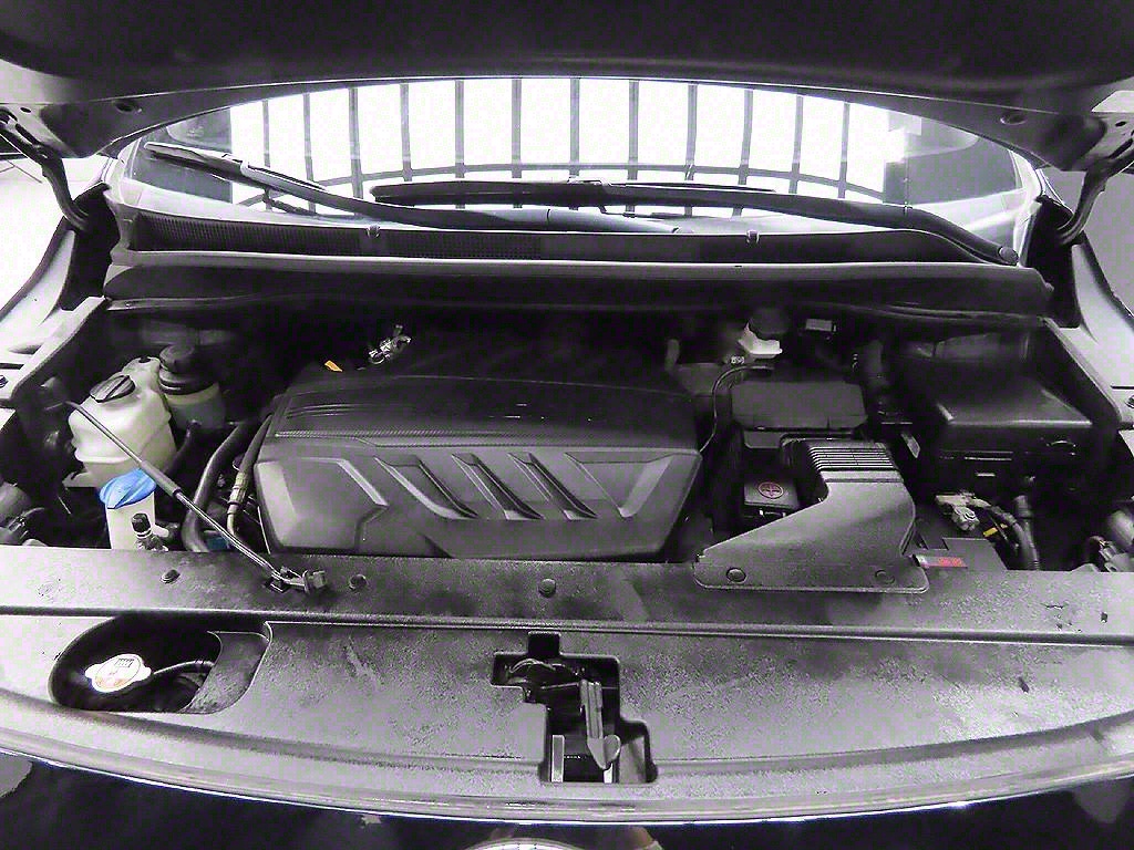 KIA Carnival - Vista 11