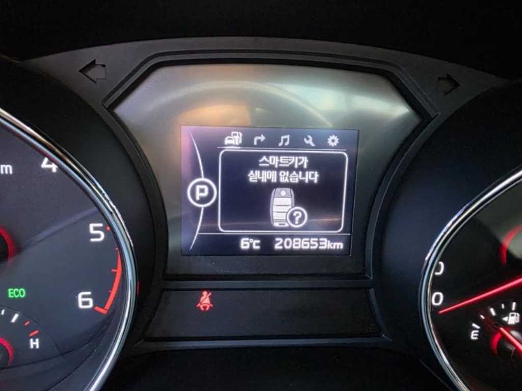 KIA Carnival - Vista 12