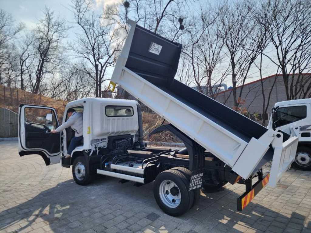 medium and large cargo dump 2018 Blanco - Importación desde Corea - HF Imports Iquique - Foto 14