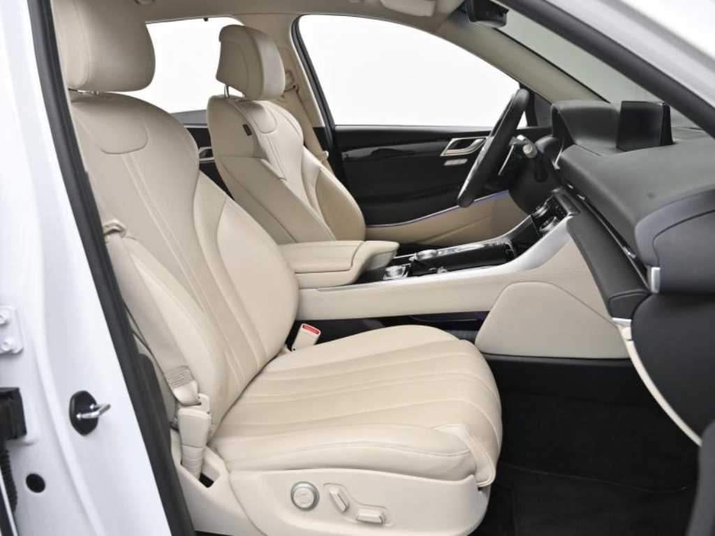 Genesis GV80 - Vista 10