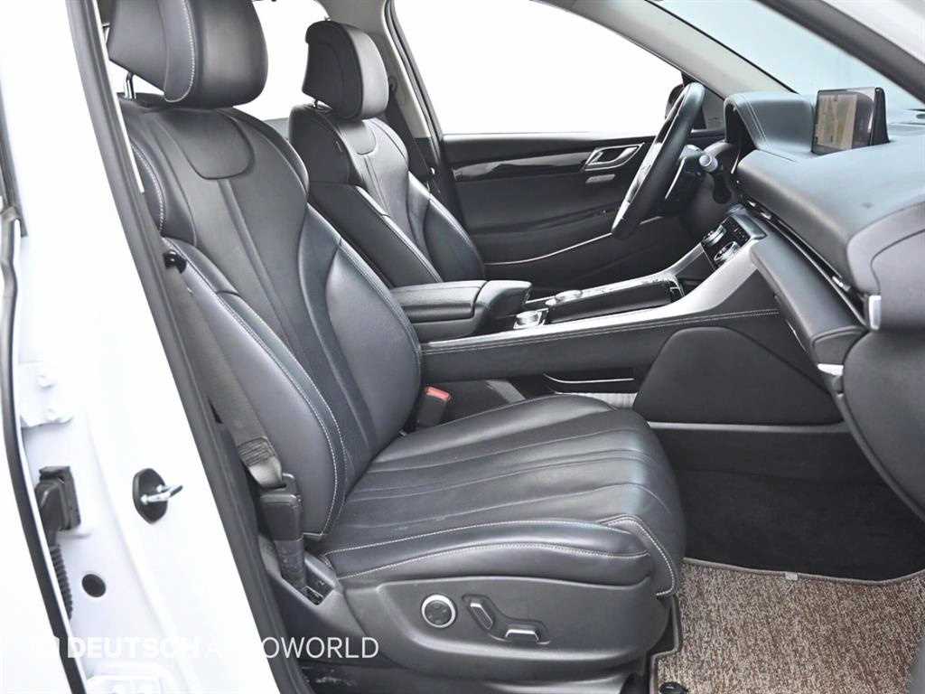 Genesis GV80 - Vista 10