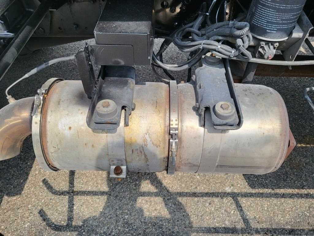 medium and large cargo Rory - Vista 11