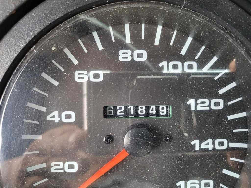 medium and large cargo Rory - Vista 10