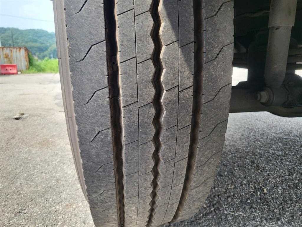 medium and large cargo Rory - Vista 12