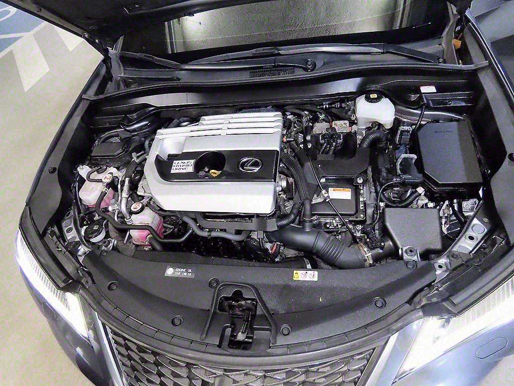 Lexus UX 2020 Gris - Importación desde Corea - HF Imports Iquique - Foto 19