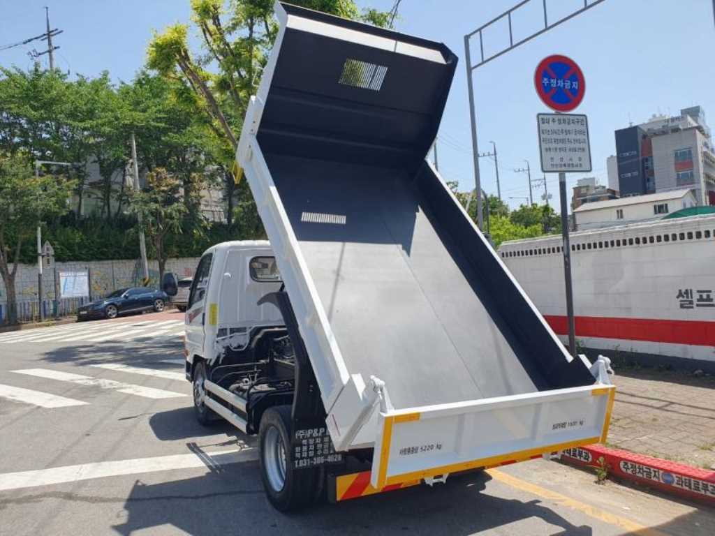 medium and large cargo dump - Vista 8