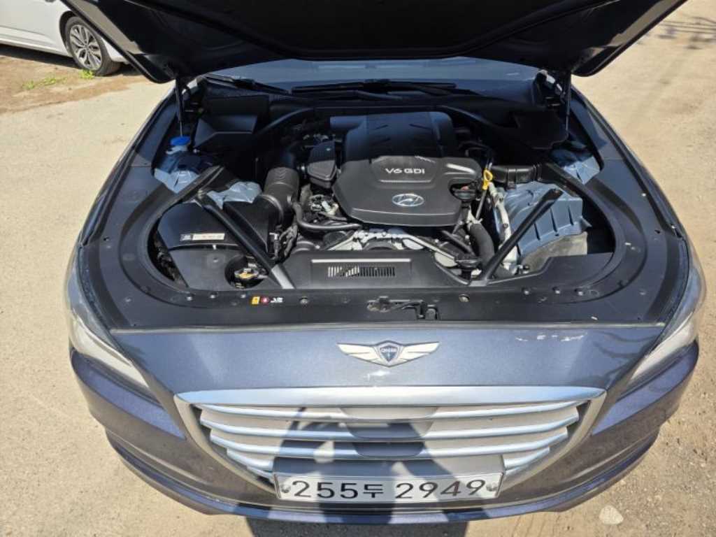 HYUNDAI Genesis - Vista 11