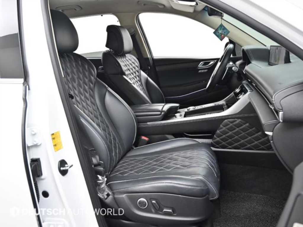 Genesis GV80 - Vista 10