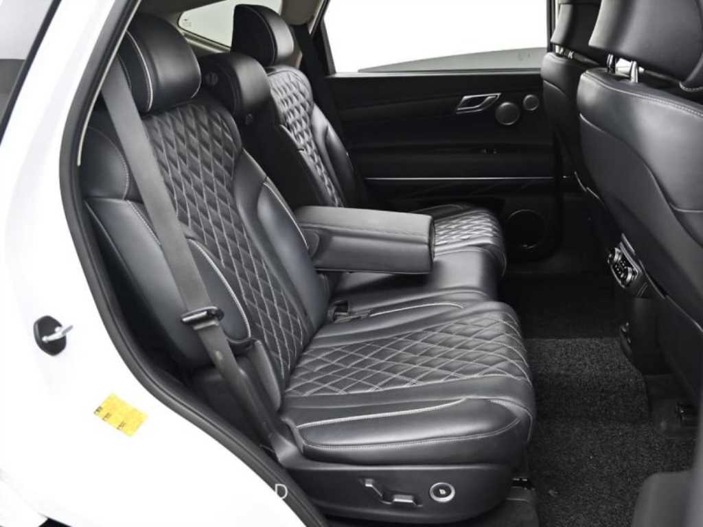 Genesis GV80 - Vista 12