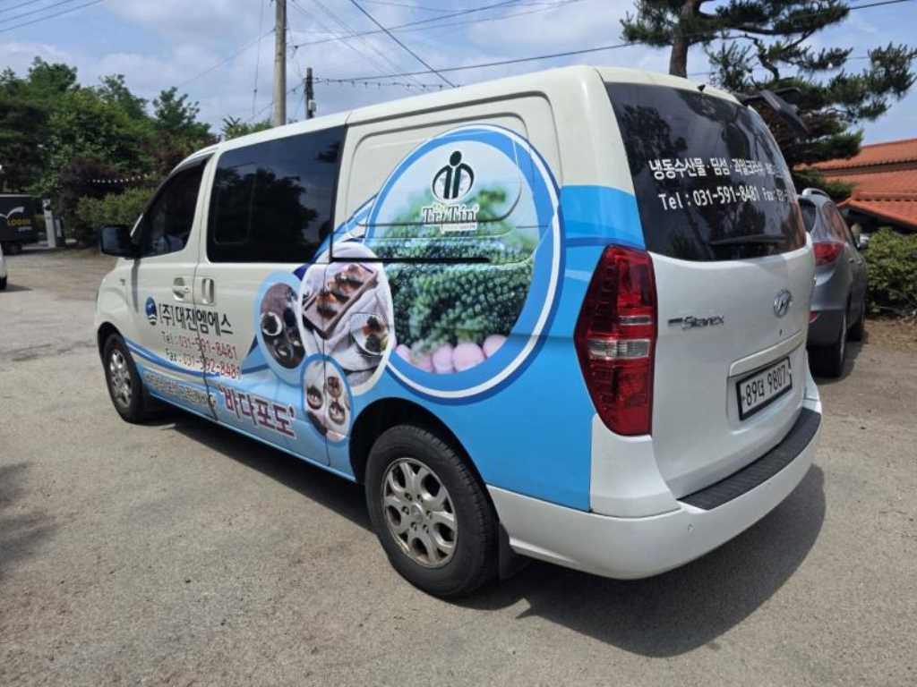 HYUNDAI Starex - Vista 4