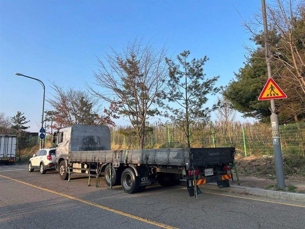 medium and large cargo Cargo - Vista 4