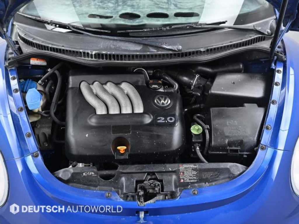 Volkswagen Beetle - Vista 6