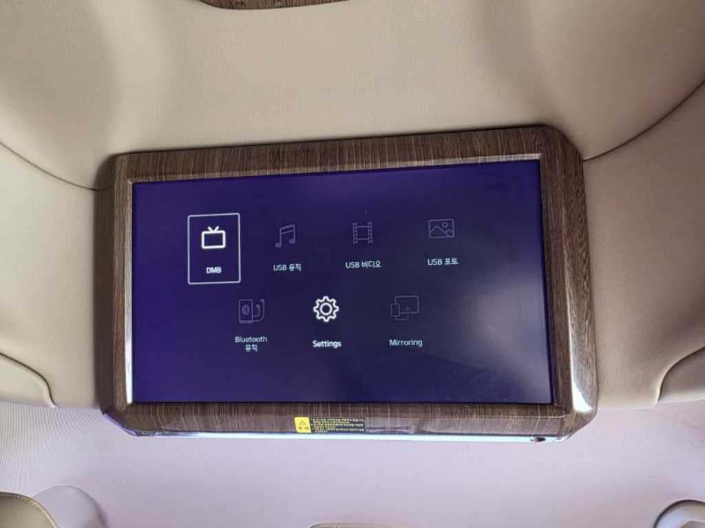 KIA Carnival - Vista 11