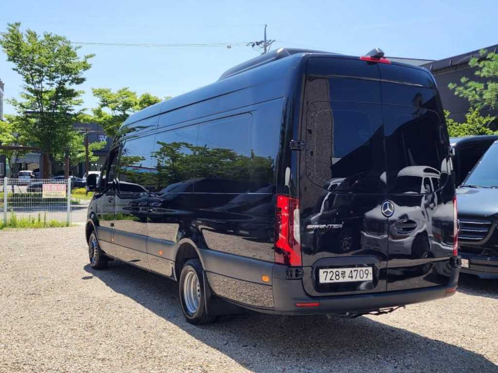 Mercedes Benz Sprinter - Vista 6
