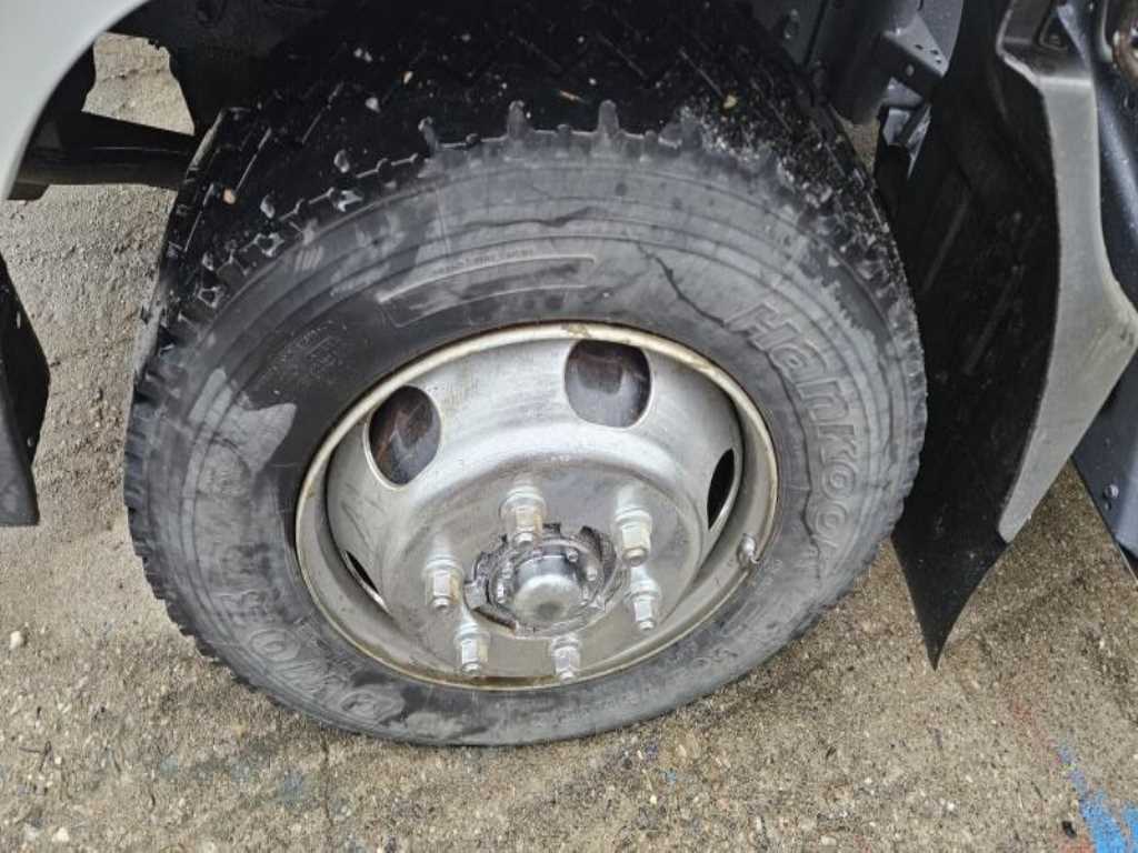 medium and large cargo Rory - Vista 4