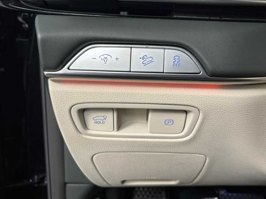 Genesis GV80 - Vista 12