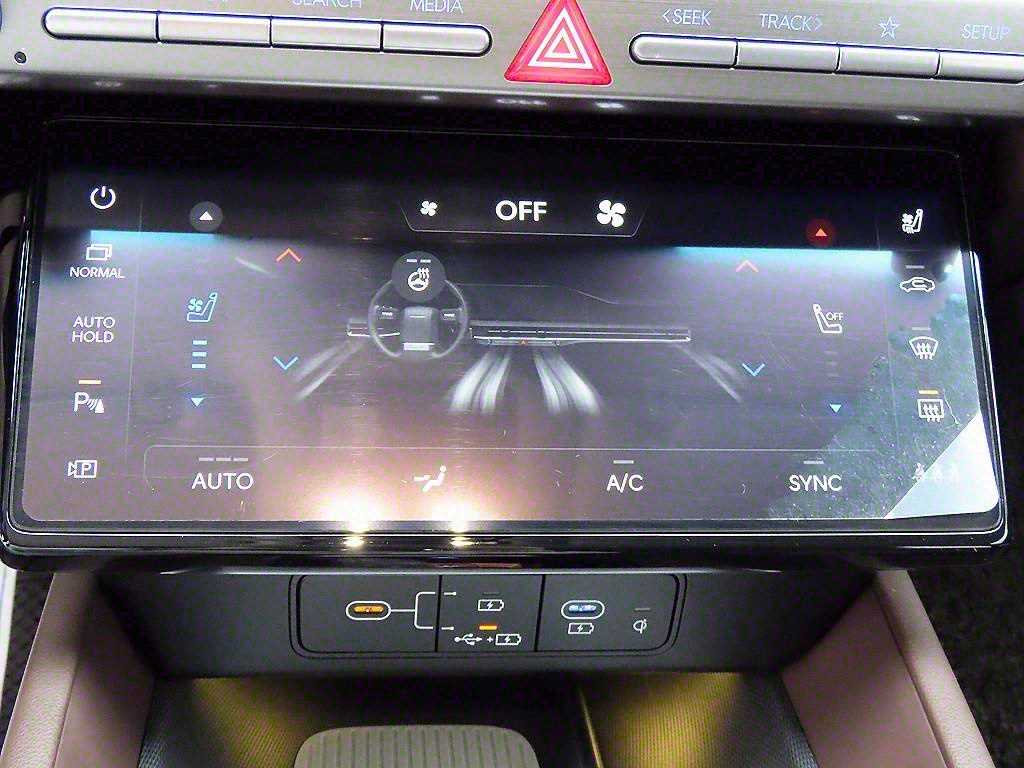 HYUNDAI Grandeur - Vista 12