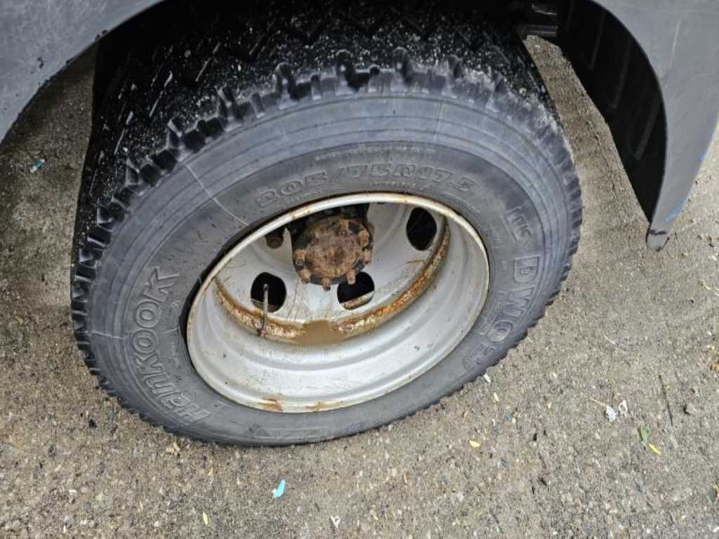 medium and large cargo Rory - Vista 5