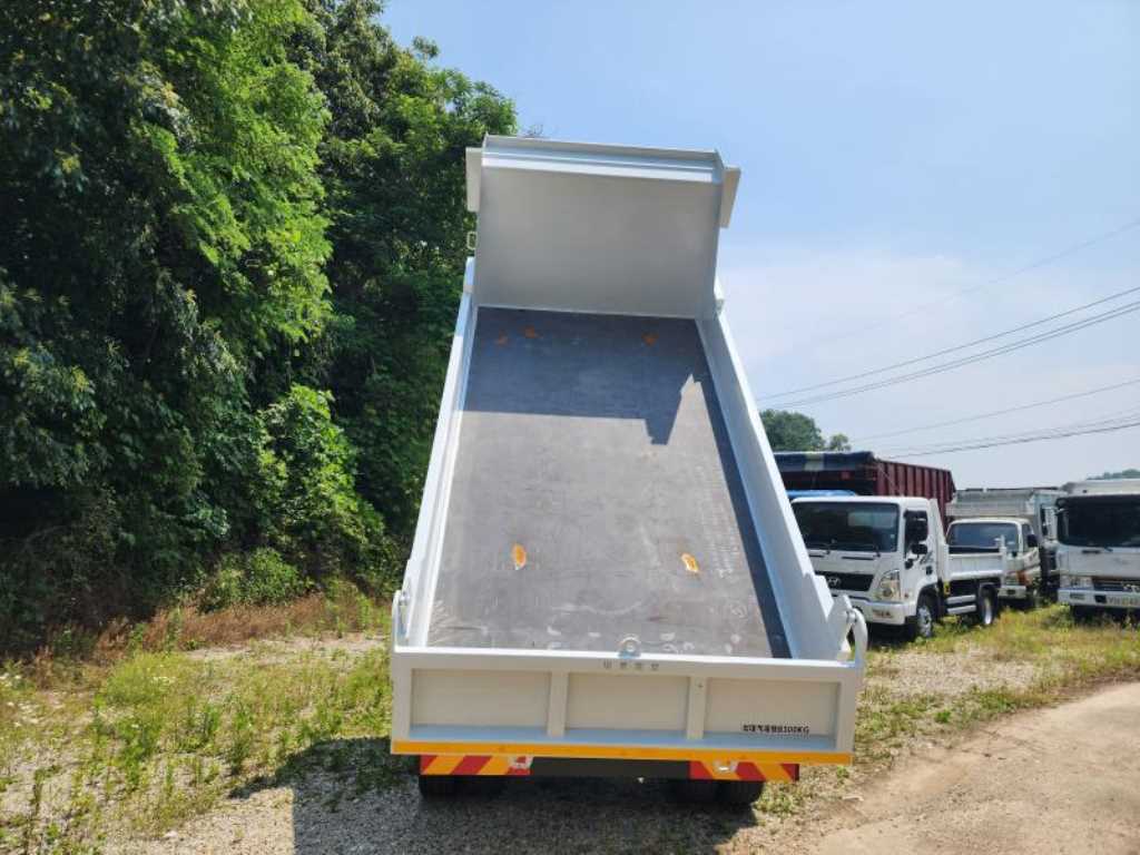 medium and large cargo dump 2018 Blanco - Importación desde Corea - HF Imports Iquique - Foto 14