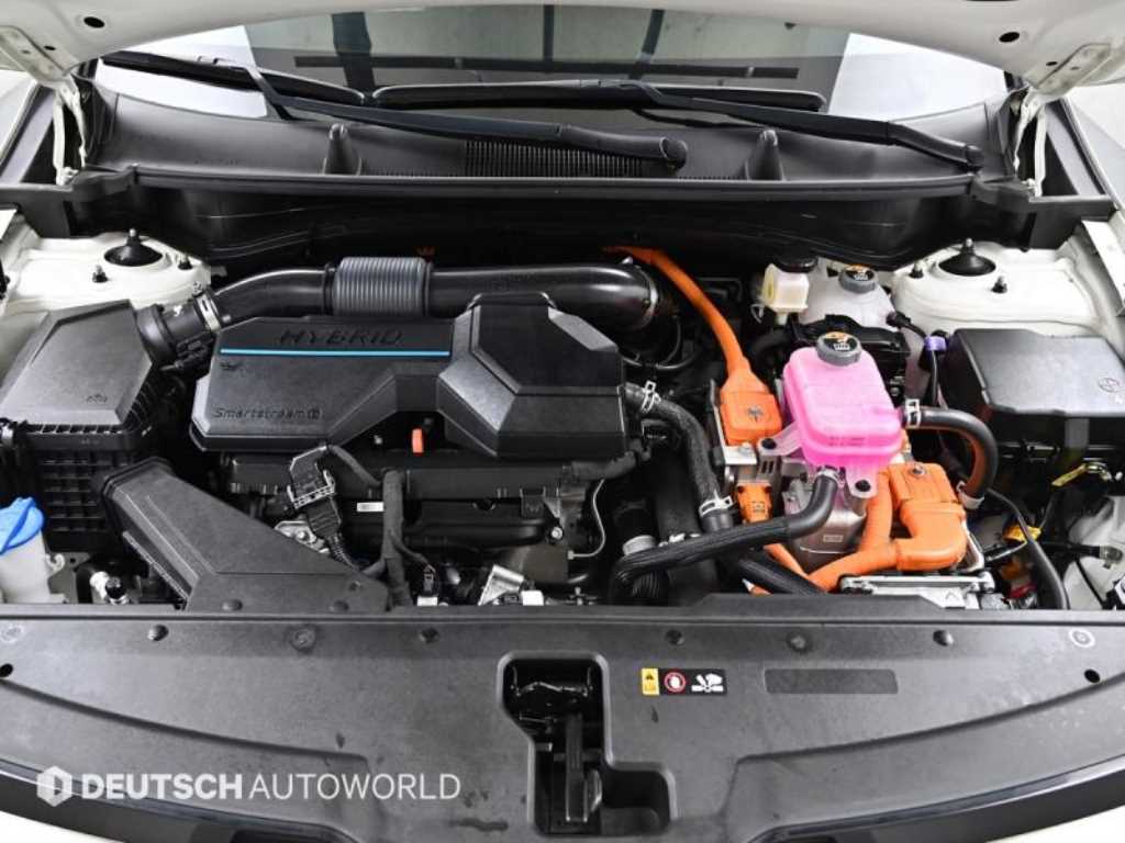 KIA Sportage - Vista 6