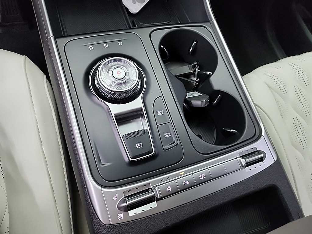 KIA Carnival - Vista 8