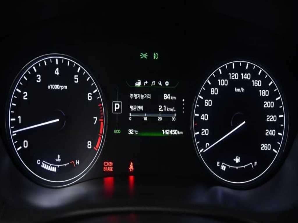 HYUNDAI Genesis - Vista 8