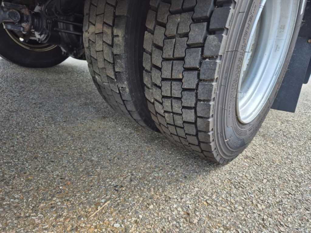 medium and large cargo truck - Vista 10