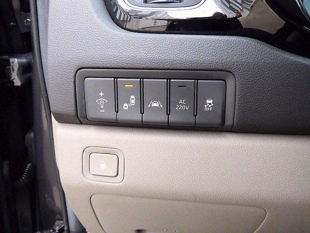 KIA Carnival - Vista 12